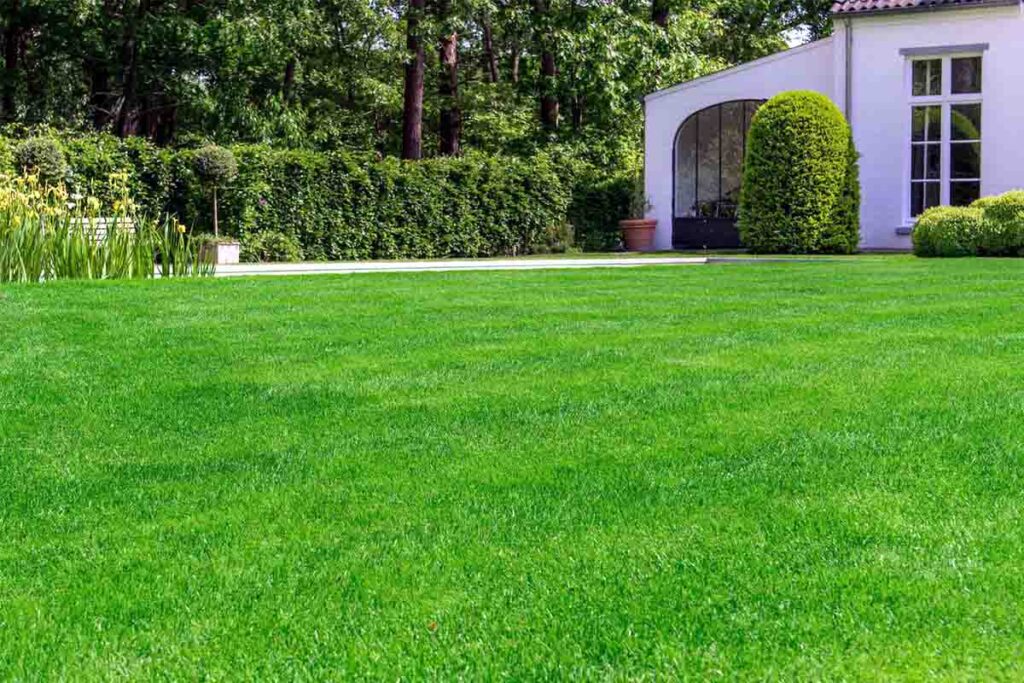 When to hire backyard grading services in Puyallup